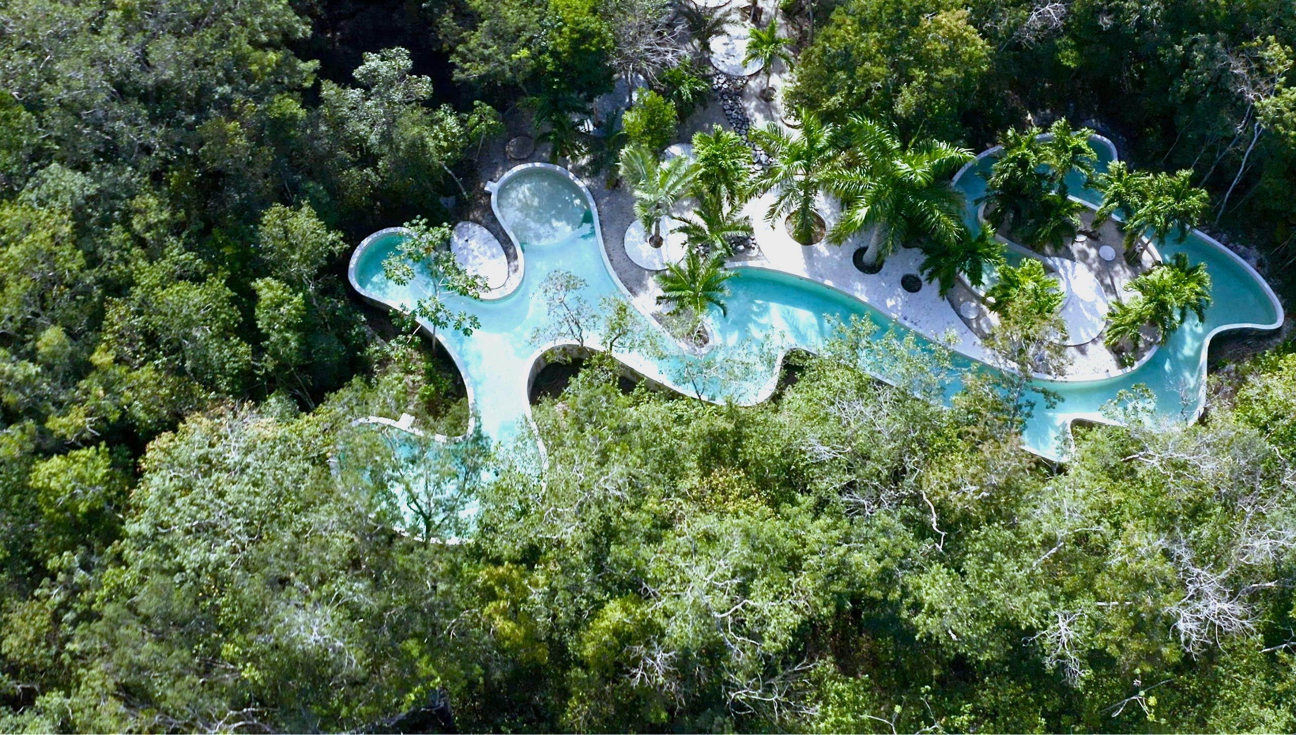 the curved turquoise pool surrounded by tropical jungle at OZEN
