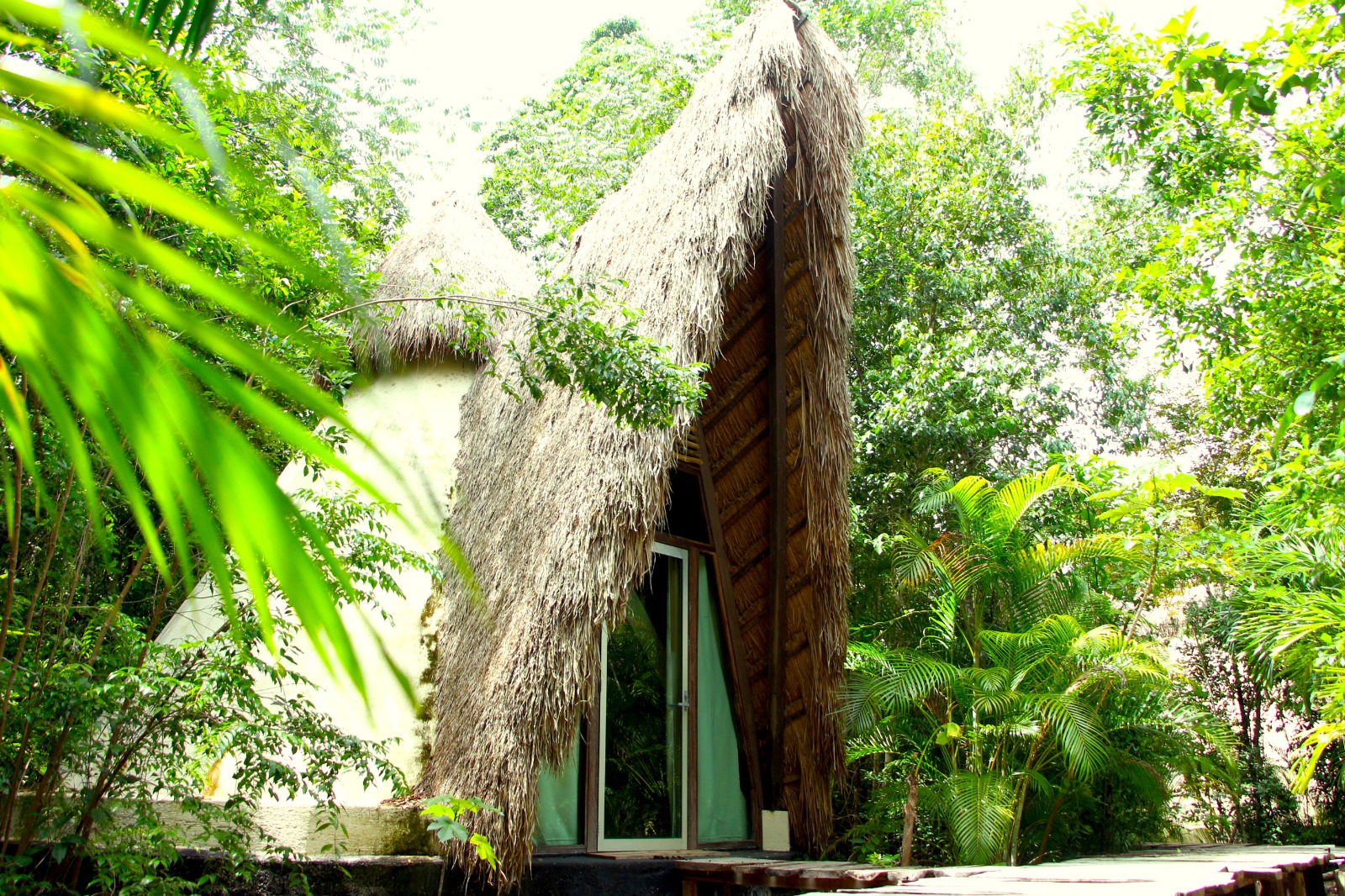 interior of a star shaped studio with forest views at OZEN