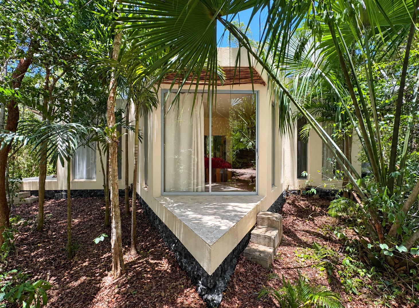 hive studio framed by palms and tropical greenery